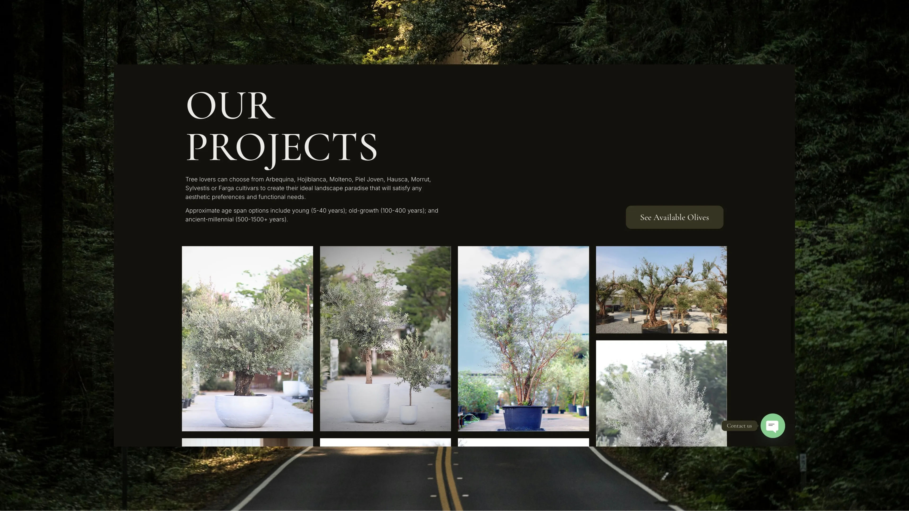 Our Projects